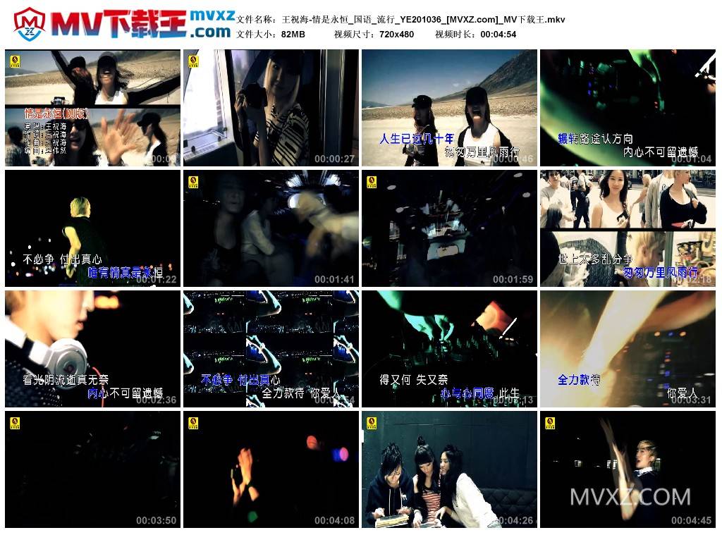 王祝海-情是永恒_国语_流行_YE201036